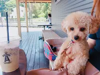 Number A coffeeの写真・動画_image_322061