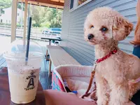 Number A coffeeの写真・動画_image_322062