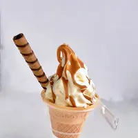 とよころ物産直売所の写真・動画_image_322158