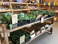 とよころ物産直売所の写真・動画_image_322164