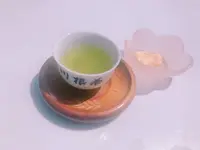 牛代の水目桜の写真・動画_image_322207