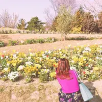 はままつフラワーパークの写真・動画_image_322223
