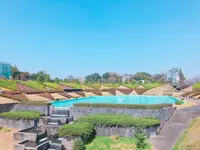 はままつフラワーパークの写真・動画_image_322226