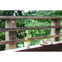 NARAYA CAFE（ナラヤカフェ）の写真・動画_image_322243