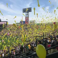 阪神甲子園球場の写真・動画_image_322309