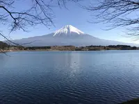 田貫湖の写真・動画_image_322315