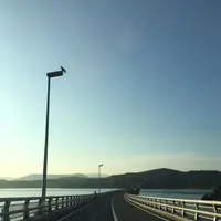 角島大橋 (つのしまおおはし)の写真・動画_image_322321