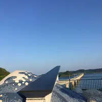 角島大橋 (つのしまおおはし)の写真・動画_image_322324