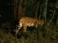 富士サファリパークの写真・動画_image_322390