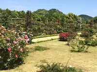 河津バガテル公園の写真・動画_image_322409