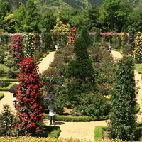 河津バガテル公園の写真・動画_image_322411