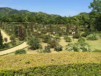 河津バガテル公園の写真・動画_image_322416