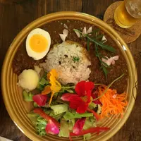 河津バガテル公園の写真・動画_image_322417