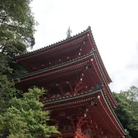 岐阜城の写真・動画_image_322450