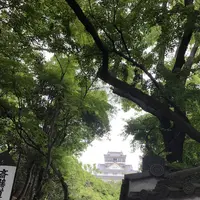 岐阜城の写真・動画_image_322451