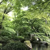 岐阜城の写真・動画_image_322452