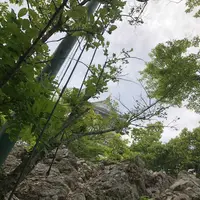 岐阜城の写真・動画_image_322455