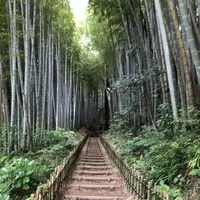 ひよどり坂の写真・動画_image_322485