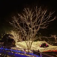 NESTA RESORT KOBE ホテル ザ・パヴォーネの写真・動画_image_322496