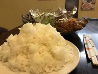 ポプラの写真・動画_image_322551