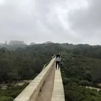 ラス・ファレーラス水道橋の写真・動画_image_322870