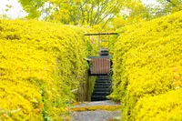 （財）滋賀県陶芸の森の写真・動画_image_322977