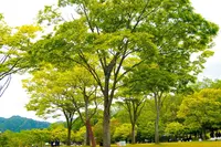 （財）滋賀県陶芸の森の写真・動画_image_322979
