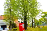 （財）滋賀県陶芸の森の写真・動画_image_322980
