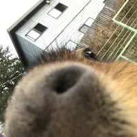 アニマルワンダーリゾウト（市原ぞうの国）の写真・動画_image_323170