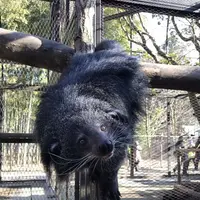 アニマルワンダーリゾウト（市原ぞうの国）の写真・動画_image_323171