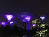 Merlionの写真・動画_image_323197