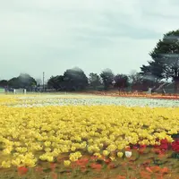 木曽三川公園の写真・動画_image_323334