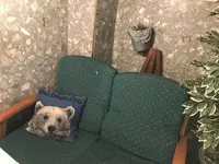 北口カフェの写真・動画_image_323525
