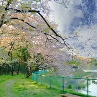 長成池の写真・動画_image_323530