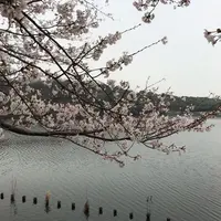 長成池の写真・動画_image_323532