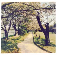 長成池の写真・動画_image_323534