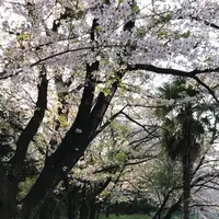 長成池の写真・動画_image_323536