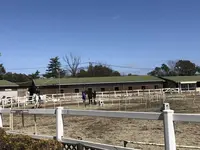 明石乗馬協会の写真・動画_image_323545