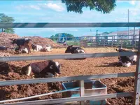 岩瀬牧場の写真・動画_image_324088