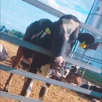 岩瀬牧場の写真・動画_image_324089