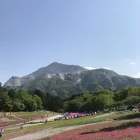 羊山公園の写真・動画_image_324348