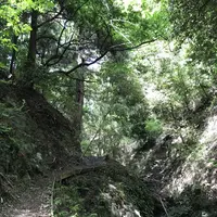 五月山公園の写真・動画_image_324428