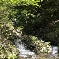 多度大社（北伊勢大神宮）の写真・動画_image_324434