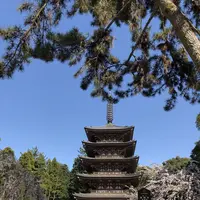 醍醐寺の写真・動画_image_324489