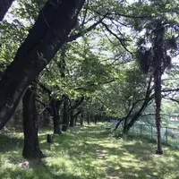 長成池の写真・動画_image_324509