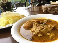 スパイスドッグ （Spicedog） の写真・動画_image_324591