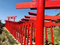 元乃隅神社の写真・動画_image_324835