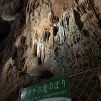 秋芳洞の写真・動画_image_324845