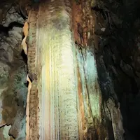 秋芳洞の写真・動画_image_324846