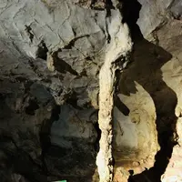 秋芳洞の写真・動画_image_324849